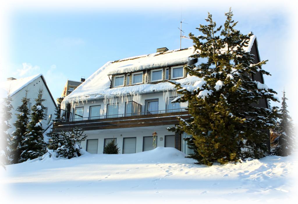 Wietheger'S Gaestehaus Centrum Willingen  Rum bild